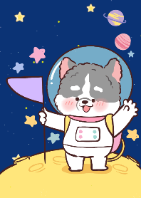 THE DOG : GALAXY
