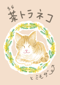 せみまりの茶トラねこ着せかえ