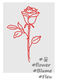#flower rose(red)