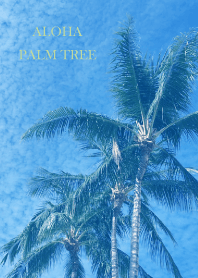 palm tree 6