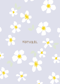 white flower adult color6 from Japan