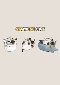 siamesecats5 - beige