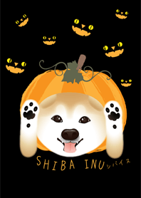 柴犬南瓜版