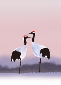 Incredible bird-Crowned crane