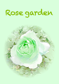 Rose garden -light green-