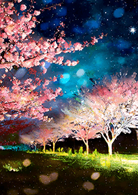 Beautiful night cherry blossoms#700