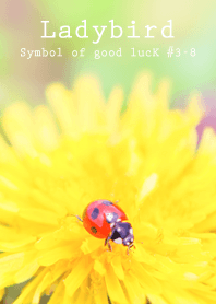 Ladybird Symbol of good luck #3-8