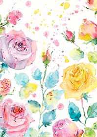 Beautiful rose flower(R4108)