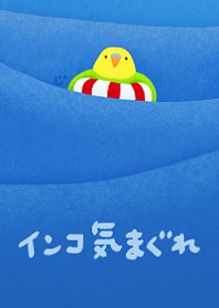 インコ気まぐれ 海水浴〈改訂〉