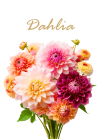 Dahlia vol.2