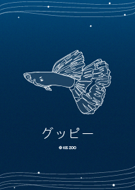 グッピー