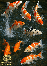 Auspicious koi fish : 9