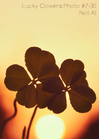 Lucky Clovers Photo#7-30Not AI