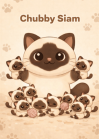 Chubby Siam