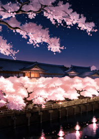 Sakura Ryouran #EQHR026.