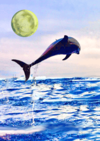 lucky dolphin moon Sea