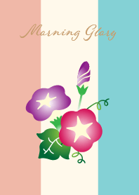 cute morning glory on pink and  blue jp