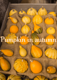 Pumpkin in autumn