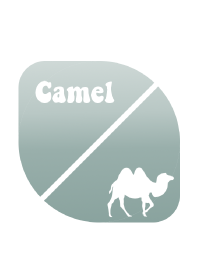 Camel 3(j)