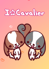 I☆Cavalier