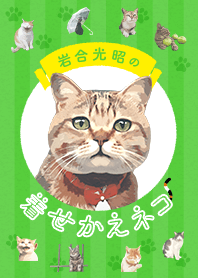 Mitsuaki Iwago Neko Theme