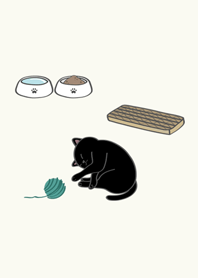 我養的小廢貓(黑色貓咪)