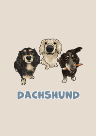 dachshund5 / almond