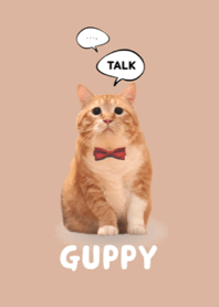 Change into GUPPY.