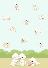 可愛快樂比熊犬-3