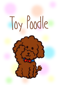 toy poodle dakedo Theme