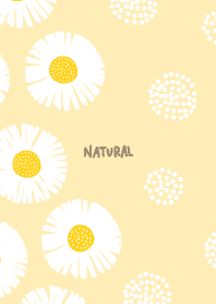 Daisy relaxed23 from Japan