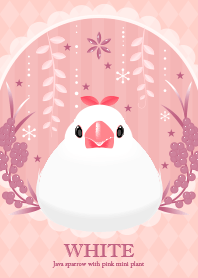 Java sparrow with pink plant -white-