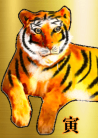 lucky GOLD tiger