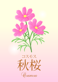 Cosmos!!