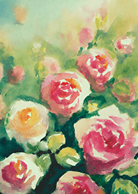 Beautiful rose flower(R4307)