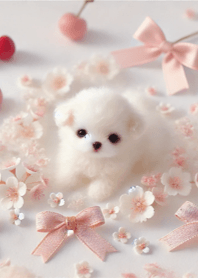 Lovely Puppy 004