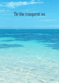 The blue transparent sea - MEKYM 30