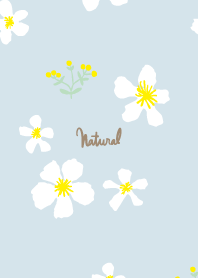 yellow and white flowers2 from Japan