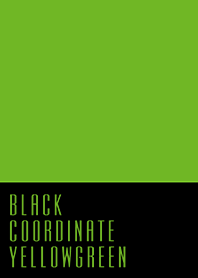 ブラックコーデ*黄緑