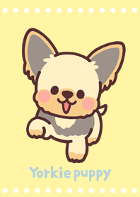 子犬のヨーキー