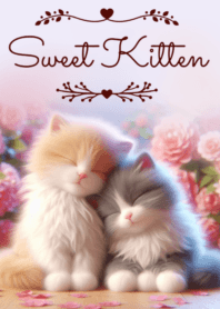 Sweet Kitten No.252