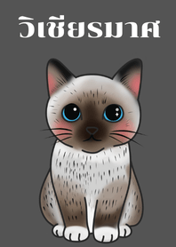 Thai cat (Siamese cat3)
