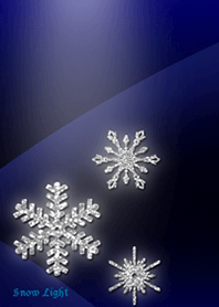 Snow Light 雪の結晶＠冬特集
