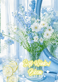 Soft Window Bloom