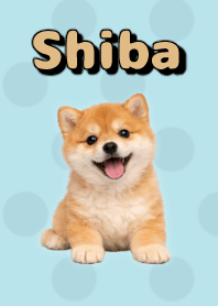 Shiba Inu Plush Theme Green 09