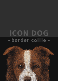 ICON DOG - ボーダーコリー - BLACK/06