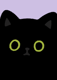 Black cat so black/15