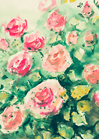 Beautiful rose flower(R4488)