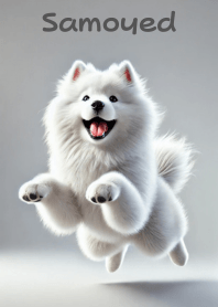 White Fluffy - Its name is Samoyed!Theme