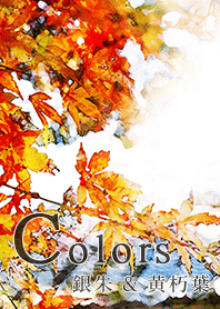 紅色和黃色的秋葉